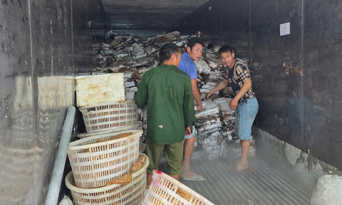Thu giữ 25 tấn thực phẩm bẩn
