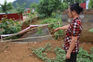 Xuất hiện hố sâu bất thường ở Bắc Kạn