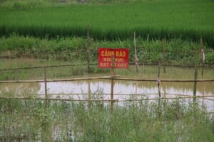 Xuất hiện hố sâu bất thường ở Bắc Kạn