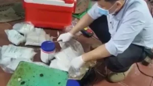 Ngâm hóa chất vào hoa chuối