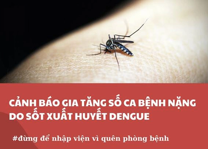 TP HCM phát cảnh báo dịch sốt xuất huyết: Nguy cơ lan rộng, số ca tử vong tăng cao