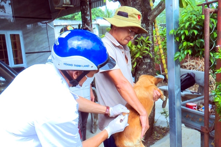 Ăn Thịt Chó Nhiễm Bệnh Dại