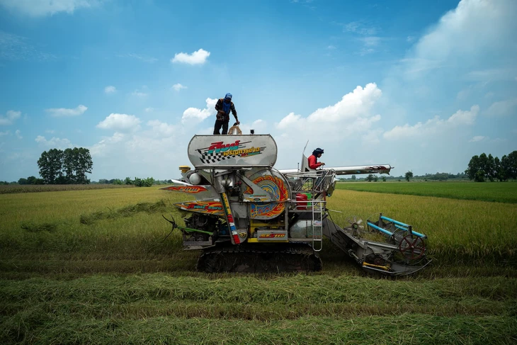 Việt Nam xuất khẩu gạo vượt Thái Lan, giữ vị trí thứ hai thế giới