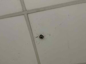 Thực hư vụ trẻ ném dép