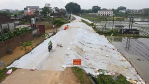 Sau bão Matmo: Thiệt hại gần 17.000 tỷ đồng, hàng nghìn hộ dân trắng tay
