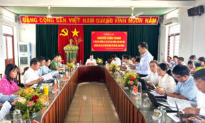 Phó Chủ tịch Thường trực UBND tỉnh Nguyễn Tuấn Thanh làm việc với 3 xã Phù Mỹ Đông, Phù Mỹ Bắc và Bình Dương