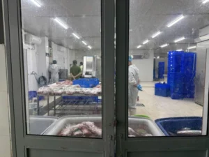 Thịt trâu giả bò Nhật WAGYU: Cơ quan chức năng vào cuộc điều tra gấp