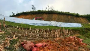 Hồ Cày An toàn trở về