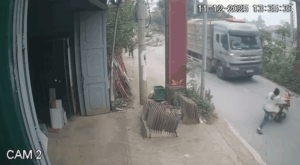 Hành vi manh động